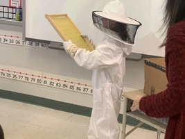 First Graders Learn About Bees