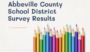 Parent Survey Results