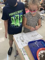 CTE 3rd Graders Learn About Owls