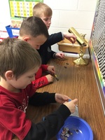 Hands on Learning in Second Grade