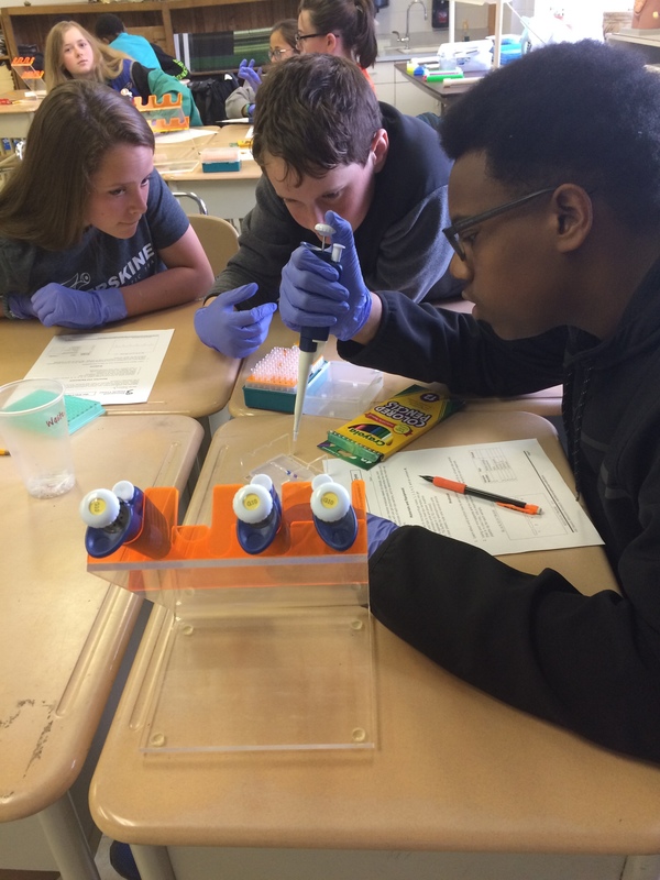Three Students working on genetic assignment